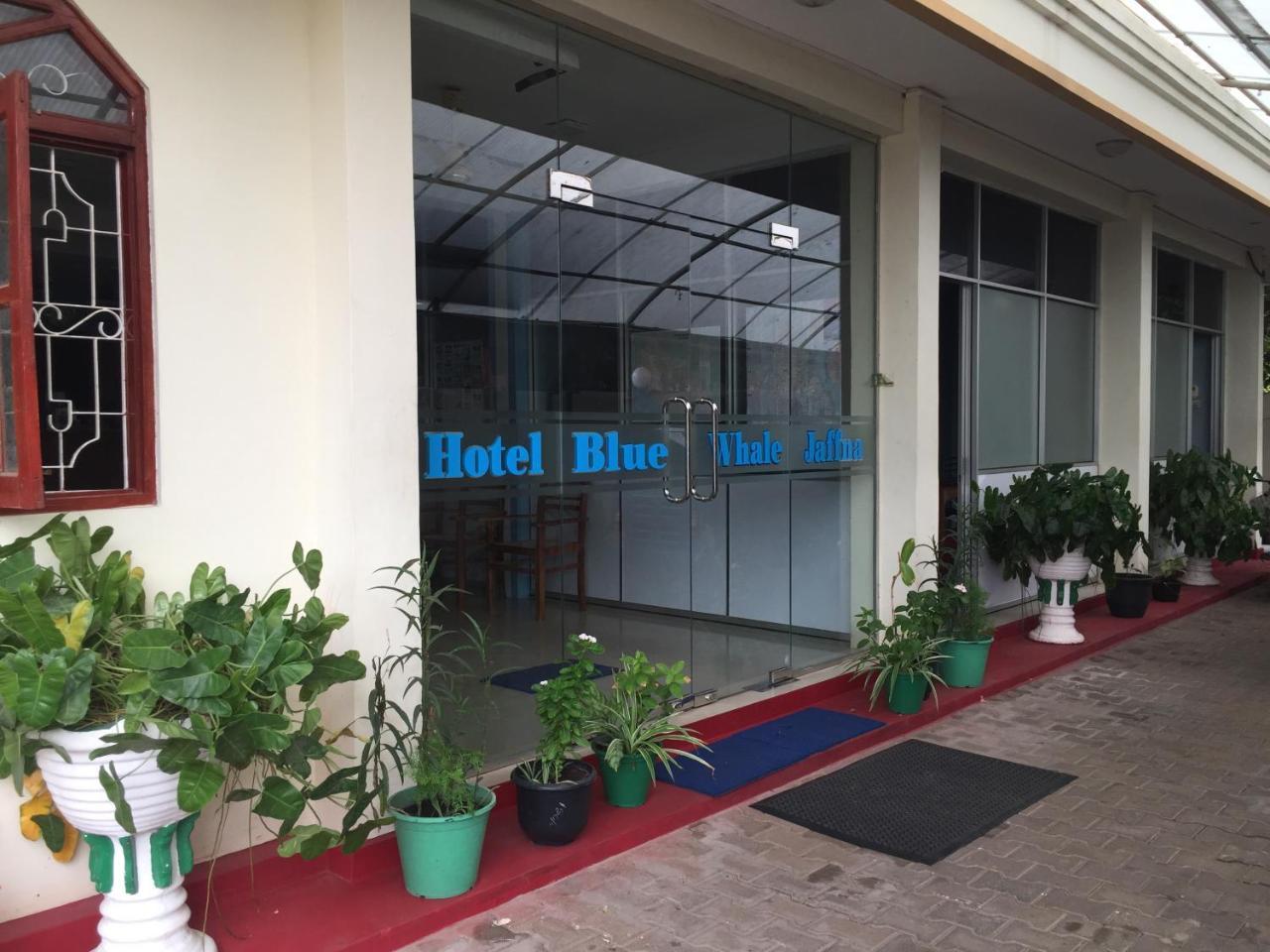 Hotel Blue Whale Jaffna Dış mekan fotoğraf